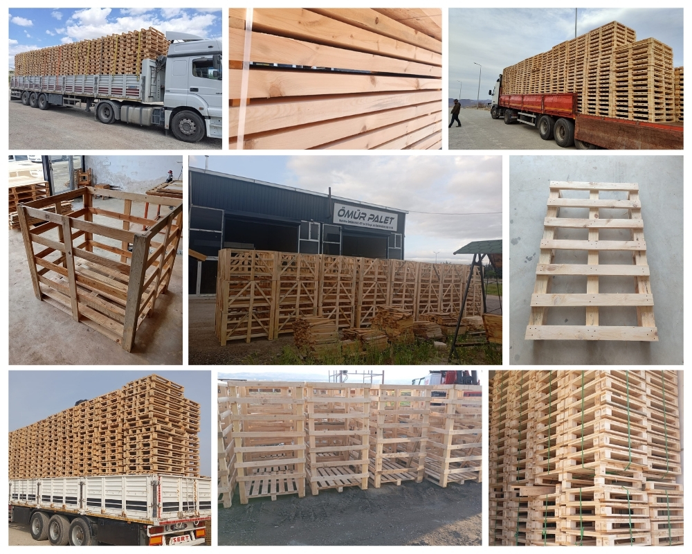 Busto Arsizio Palette Europe, Acheter des palettes en gros